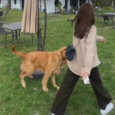 百年乡情第二季